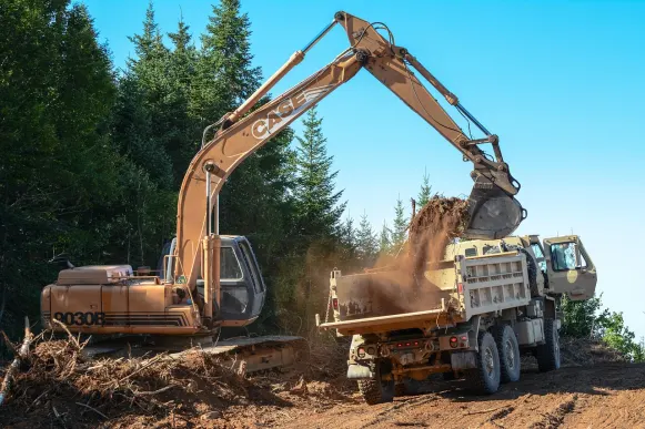 Lupin Casino Stuðningur